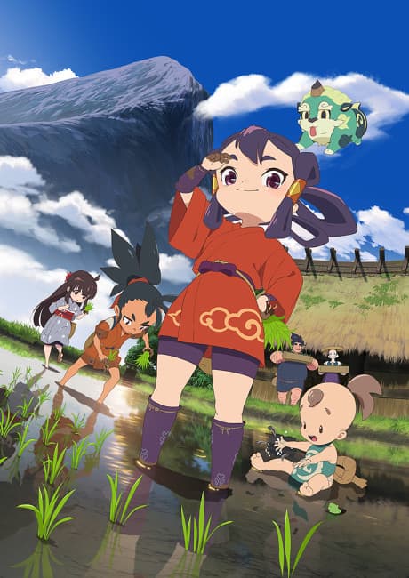 DVD Edition