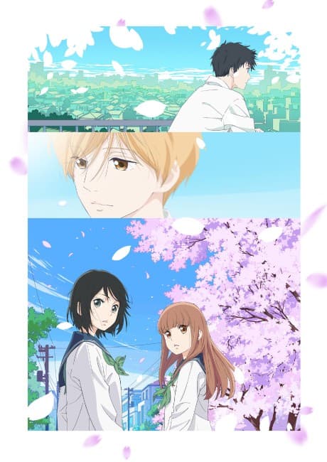 Blu-ray Edition