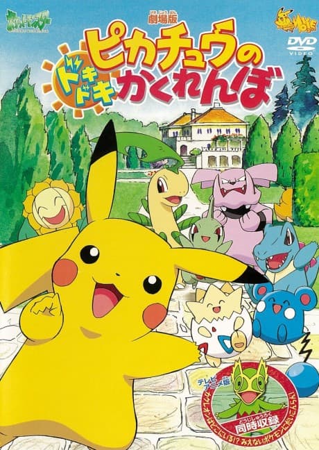 DVD Edition