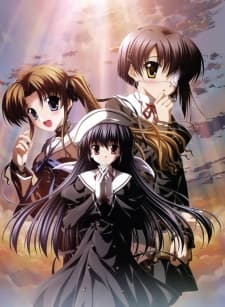DVD Edition