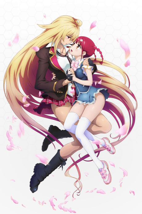 Valkyrie Drive: Mermaid - Complete Series (DVD)