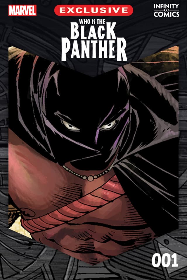 Who Is the Black Panther Infinity Comic