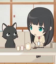 Blu-ray Edition