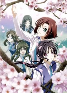 DVD Edition