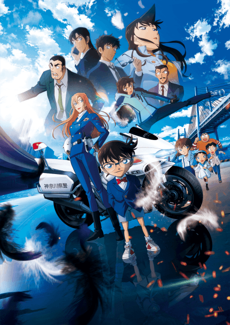 DVD Edition