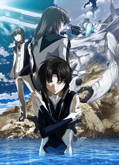DVD Edition