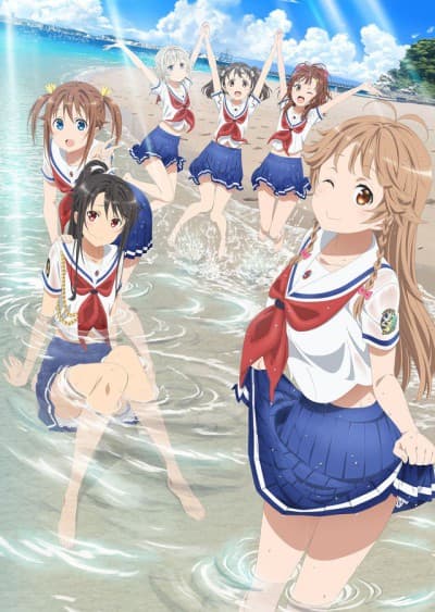 DVD Edition