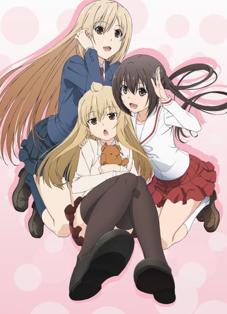 DVD Edition