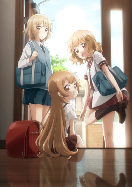 DVD Edition