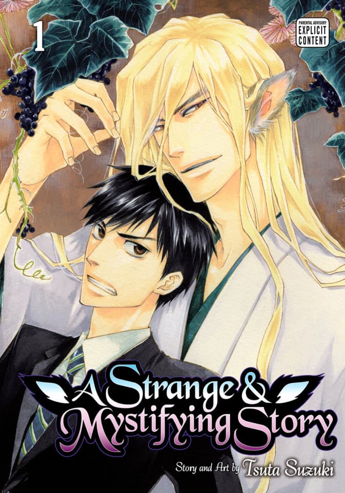 A Strange & Mystifying Story