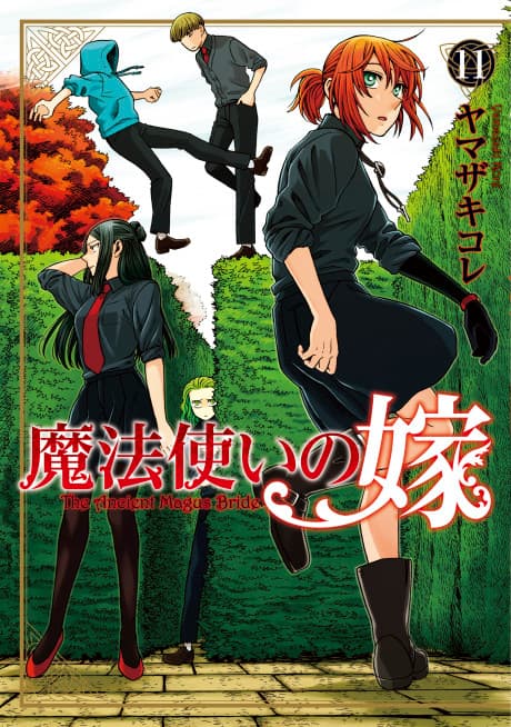 DVD Edition