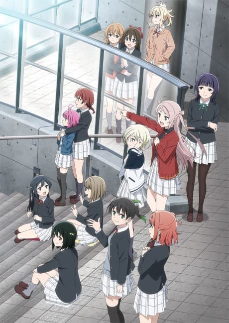 DVD Edition