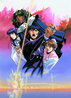 DVD Edition