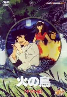 DVD Edition