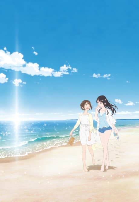 DVD Edition
