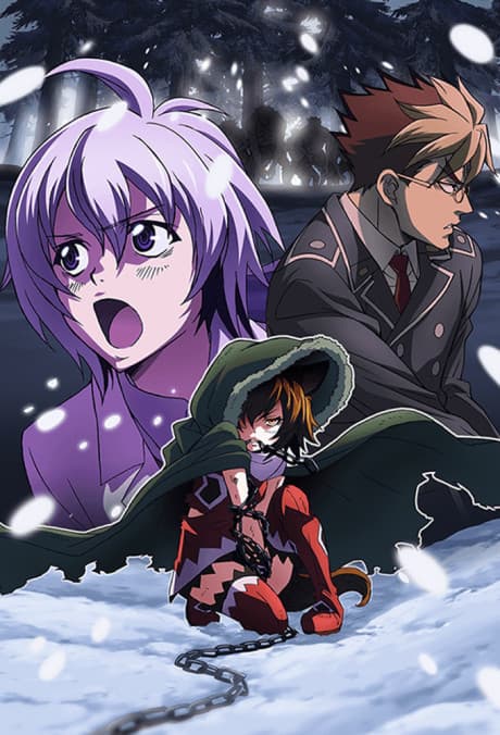 DVD Edition