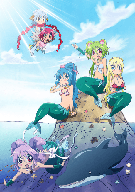DVD Edition
