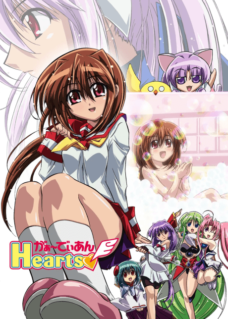 DVD Edition