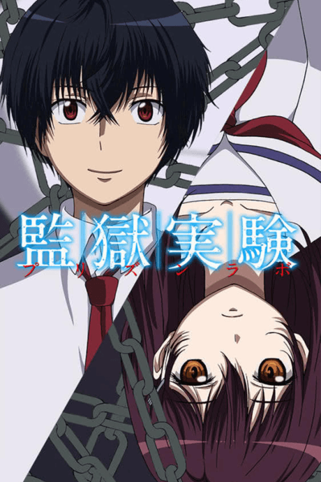 DVD Edition