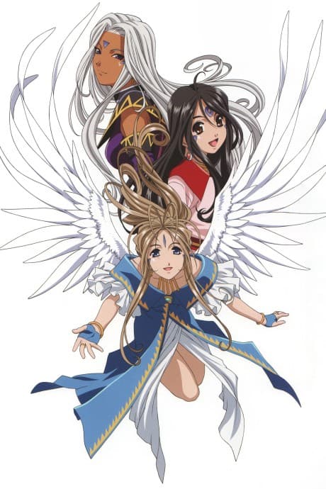 DVD Edition