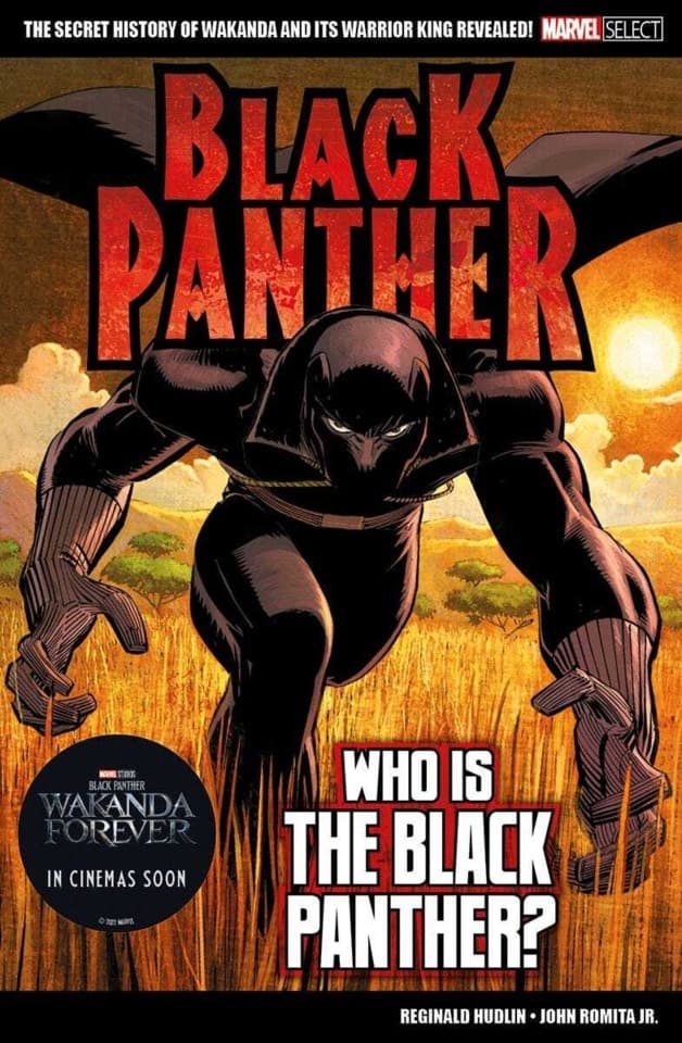 Marvel Select: Black Panther - Who is the Black Panther?
