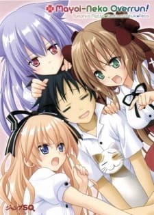DVD Edition