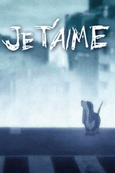 DVD Edition