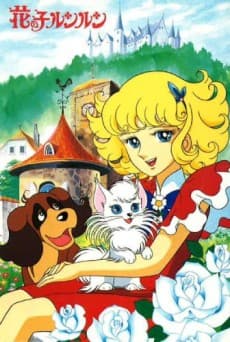 DVD Edition