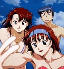 DVD Edition