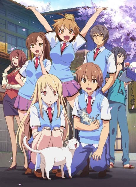 The Pet Girl of Sakurasou - Collection 2 (Sub.Blu-ray)
