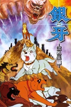 DVD Edition
