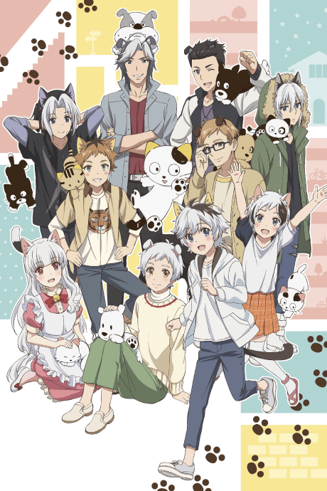 DVD Edition