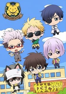 DVD Edition