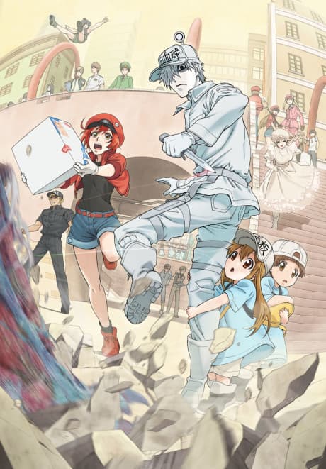 Cells at Work! - Complete Set (Blu-ray)