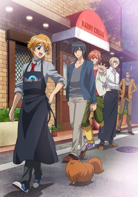 DVD Edition