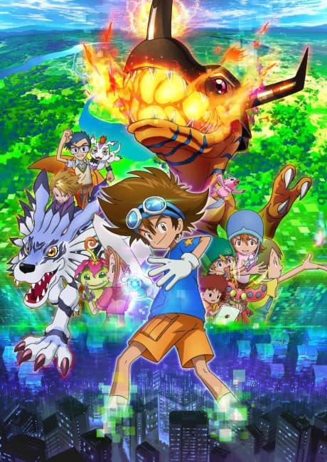 DVD Edition