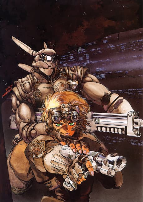 Appleseed [The Essence of Anime] (DVD)