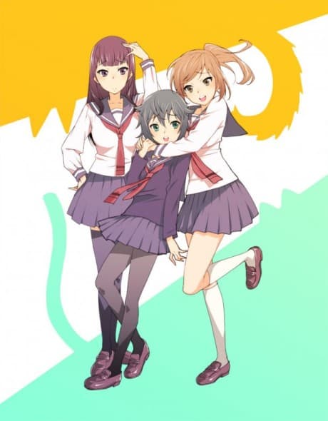 DVD Edition