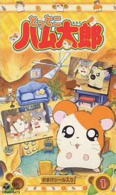 DVD Edition