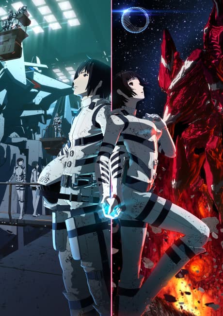 DVD Edition