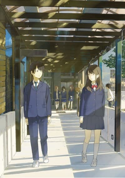 DVD Edition