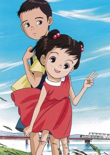 DVD Edition