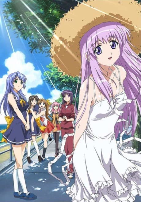 DVD Edition