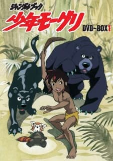 DVD Edition
