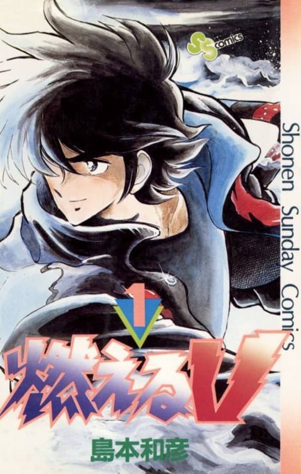 Moeru V