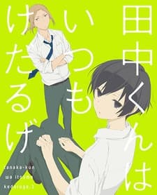 DVD Edition