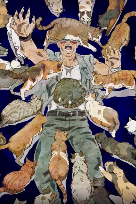 DVD Edition