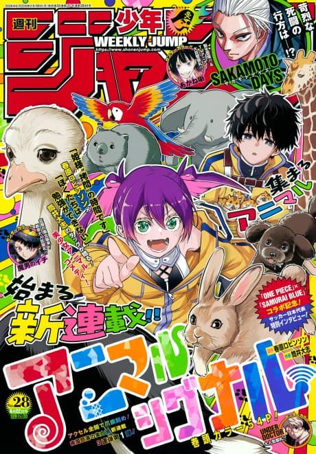 Animal Signal
