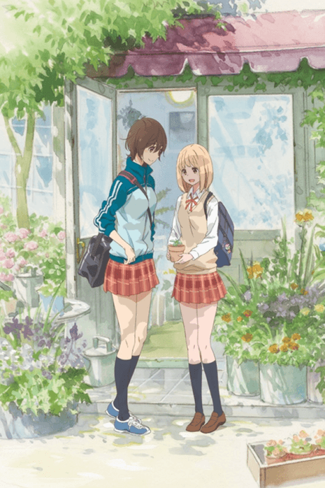 Kase-san and Morning Glories (Blu-ray)