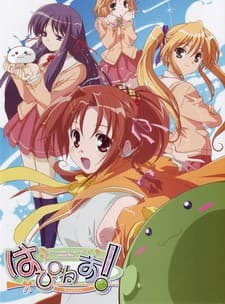 DVD Edition